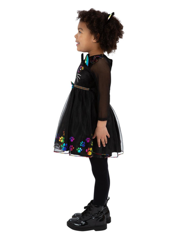 Picture of Rainbow Cat Costume, Toddler Age 4-6,W21.5-22.5",C23-25",H46-51"
