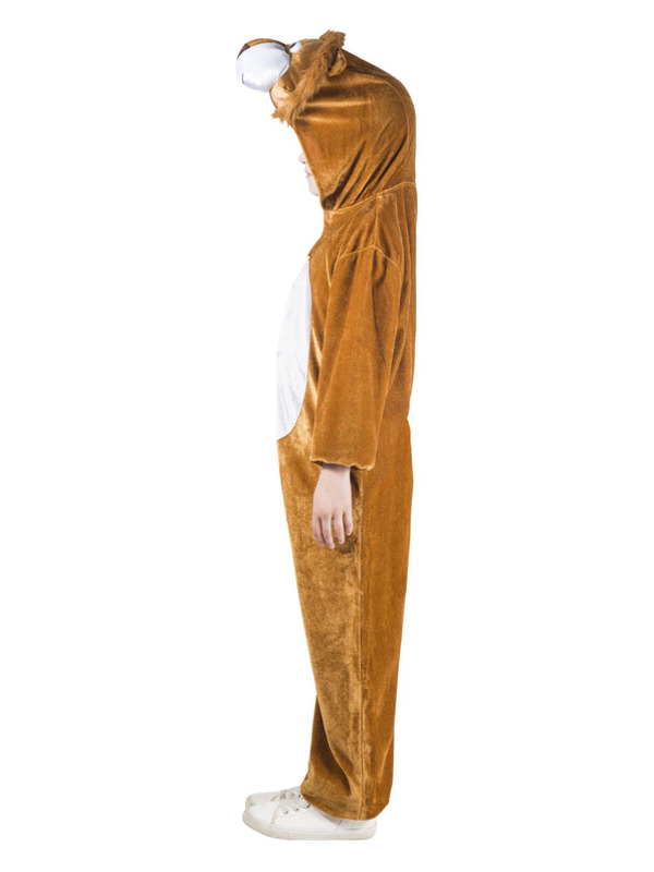 Picture of Lion Costume,  Age 10-12Y,W25.5-26.5",C30-31.5",H58-63"