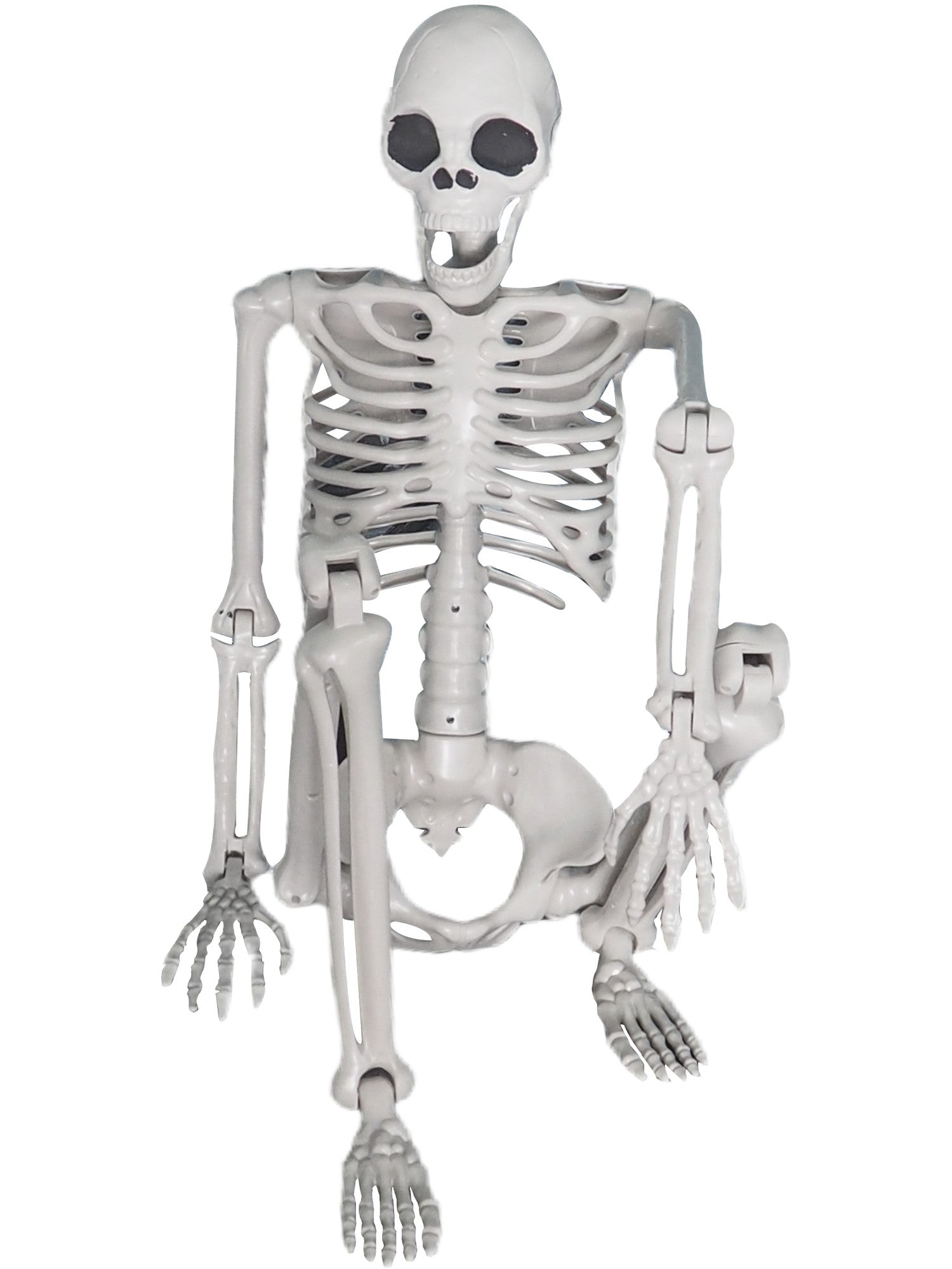 Picture of Lifesize Hanging Skeleton Prop, 150cm