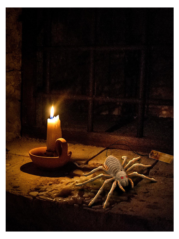 Picture of Light Up Spider Prop 