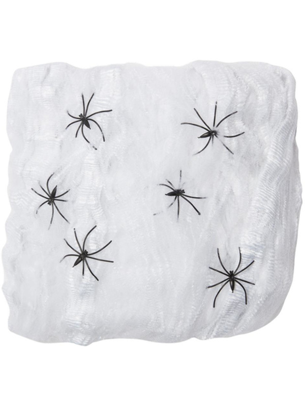 Picture of Large Spider Web Decoration 