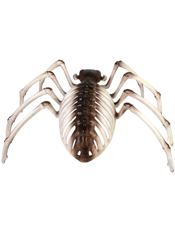 Picture of Spider Skeleton Prop 